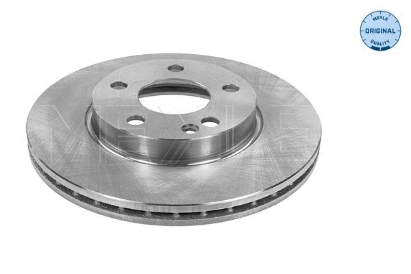 Brake Disc (015 521 0038)