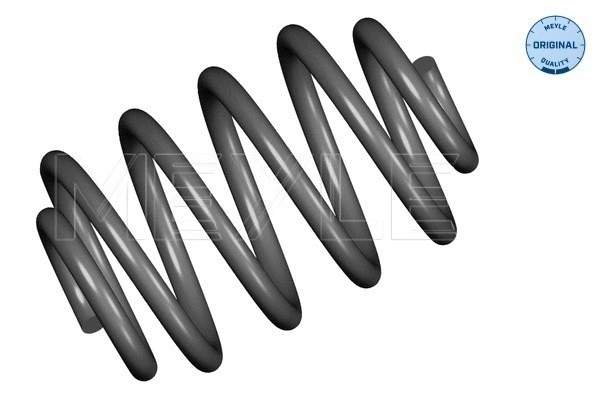 Suspension Spring (16-14 739 0006)