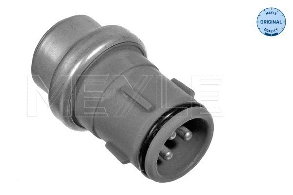 Sensor, coolant temperature (100 919 0010)