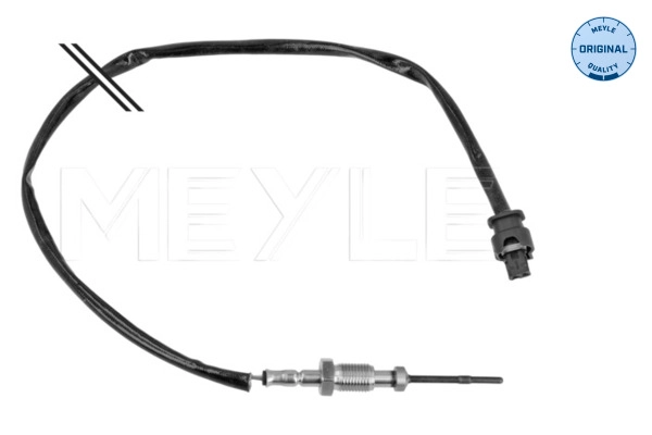 Sensor, exhaust gas temperature (314 800 0072)