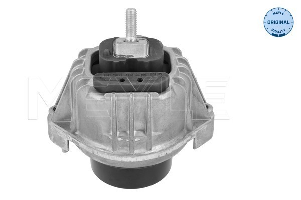 Mounting, engine (300 221 2117)