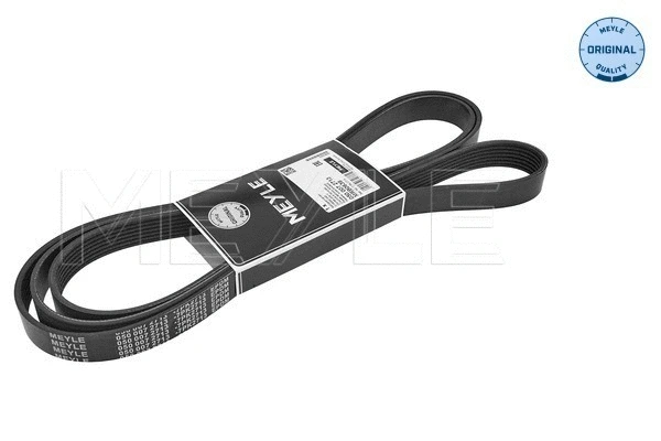 V-Ribbed Belt (050 007 2713)