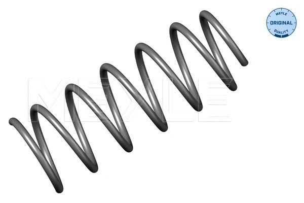 Suspension Spring (314 031 0001)