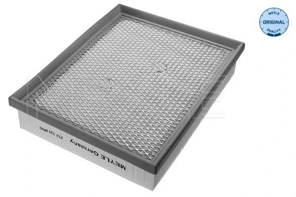 Air Filter (712 321 0015)