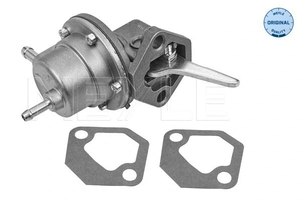 Fuel Pump (100 127 0003)