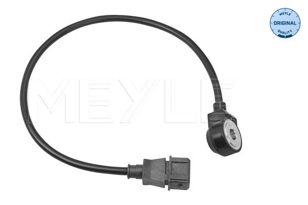 Knock Sensor (214 811 0003)