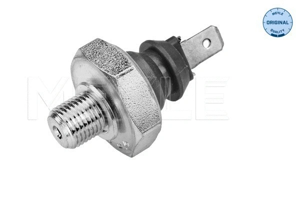 Oil Pressure Switch (114 820 0005)