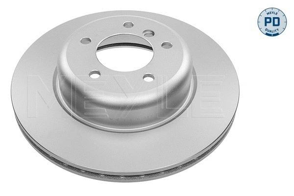 Brake Disc (383 521 1001/PD)