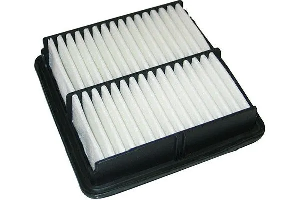 Air Filter (SA-9079)