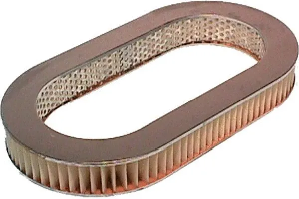 Air Filter (MA-493)