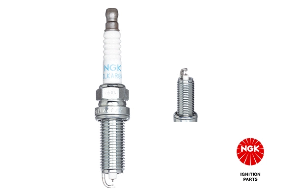 Spark Plug