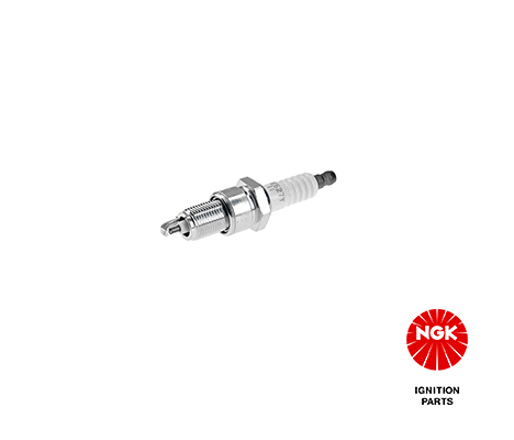 Spark Plug (6029)