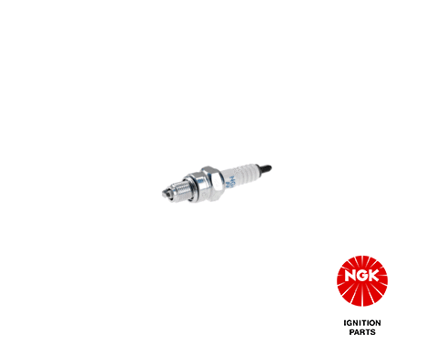 Spark Plug (4549)