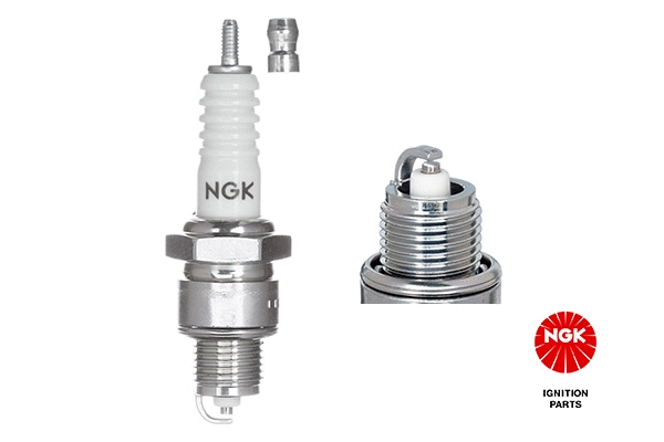 Spark Plug