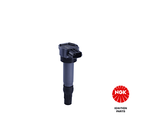 Ignition Coil (48317)