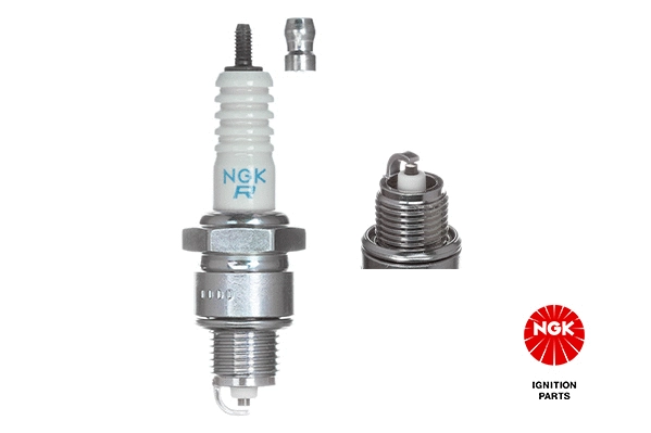 Spark Plug