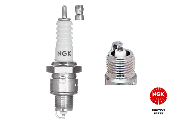 Spark Plug