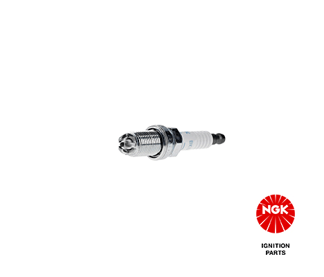 Spark Plug (3045)