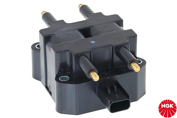 Ignition Coil (48195)
