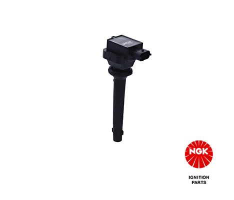 Ignition Coil (48271)