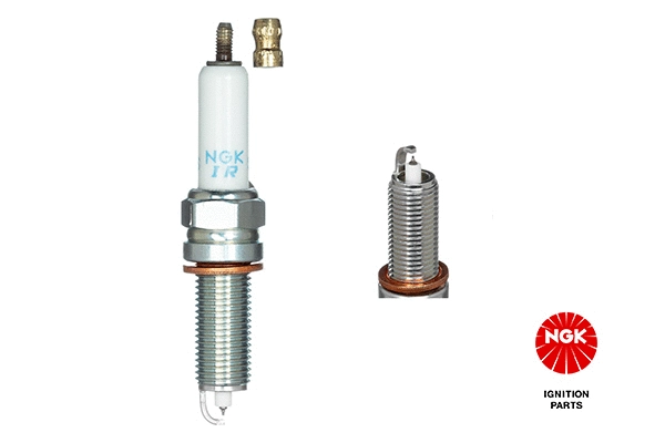 Spark Plug