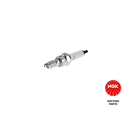 Spark Plug (5990)