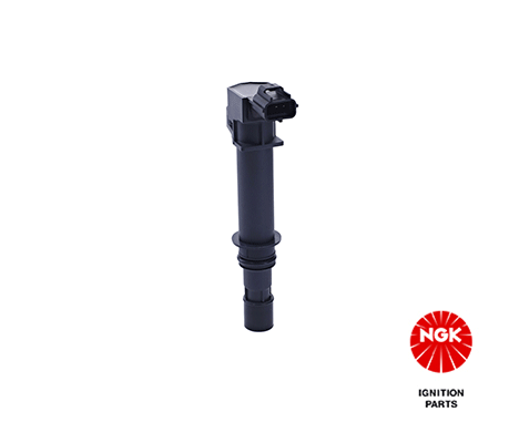Ignition Coil (48194)