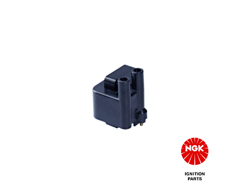 Ignition Coil (48374)
