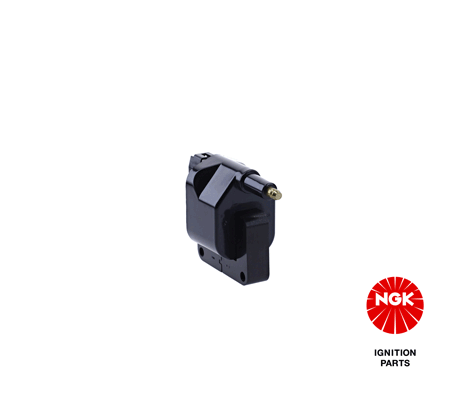 Ignition Coil (48203)