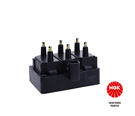 Ignition Coil (48220)