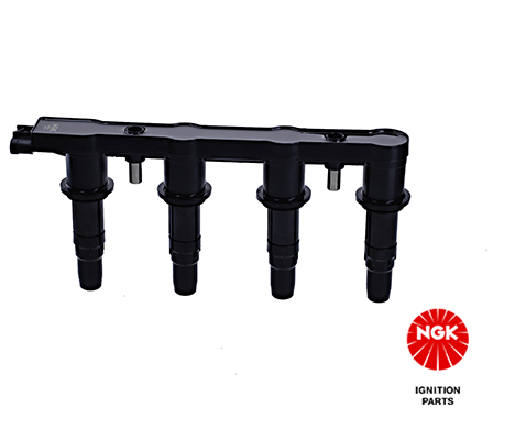 Ignition Coil (48407)