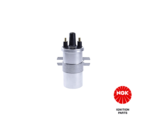 Ignition Coil (48307)
