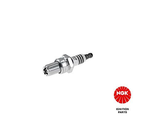 Spark Plug (3006)