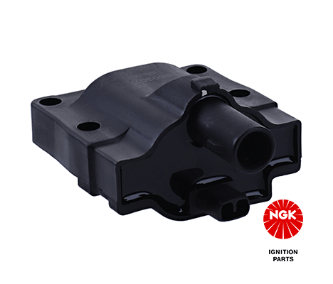 Ignition Coil (48198)