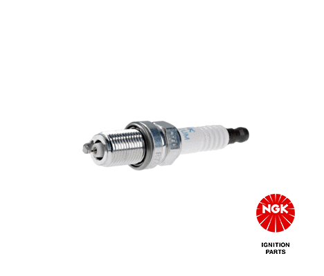 Spark Plug (4896)
