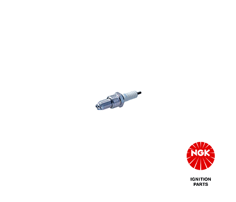 Spark Plug (5932)