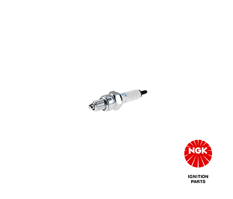 Spark Plug (2983)