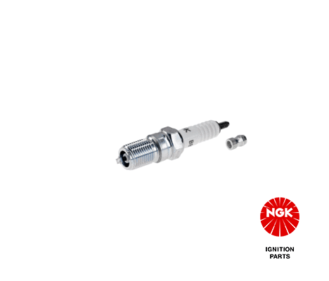 Spark Plug (1049)