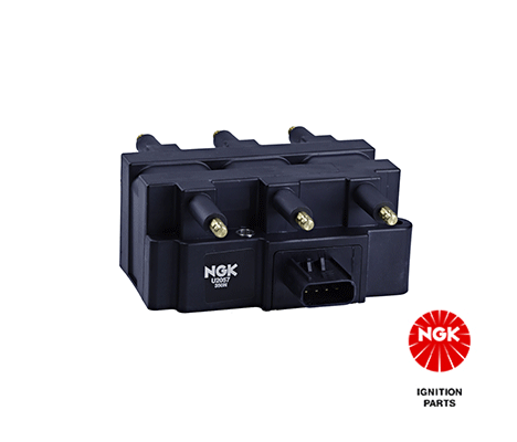 Ignition Coil (48260)