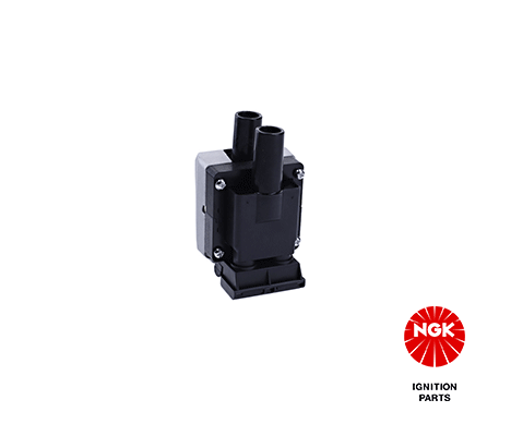 Ignition Coil (48050)