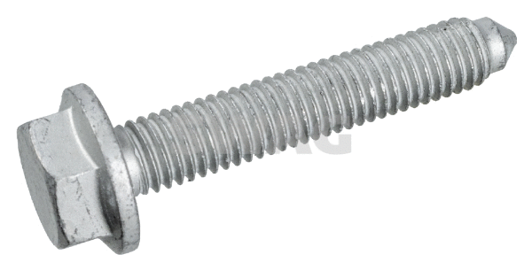 Screw (30 10 1433)