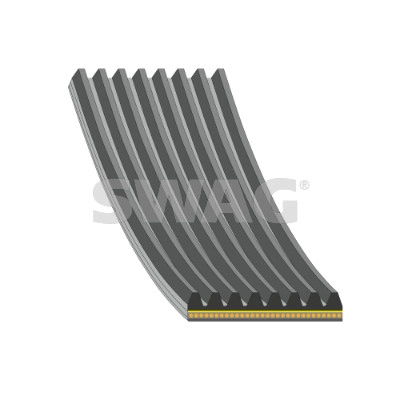 V-Ribbed Belt (33 10 9688)