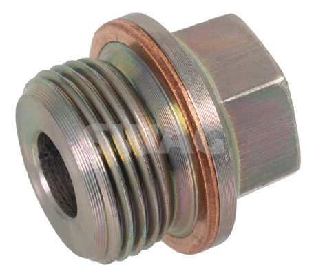 Screw Plug, timing chain tensioner (11 93 7589)