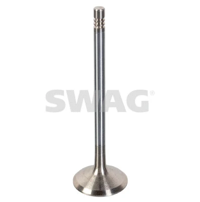 Intake Valve (33 10 7698)