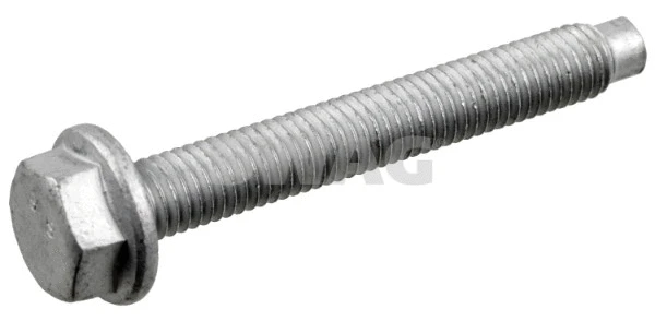 Screw (33 10 7975)