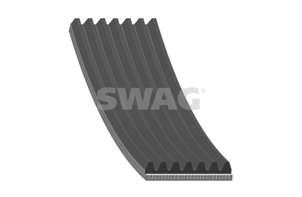 V-Ribbed Belt (20 92 9031)