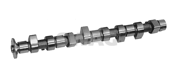 Camshaft (10 31 0010)
