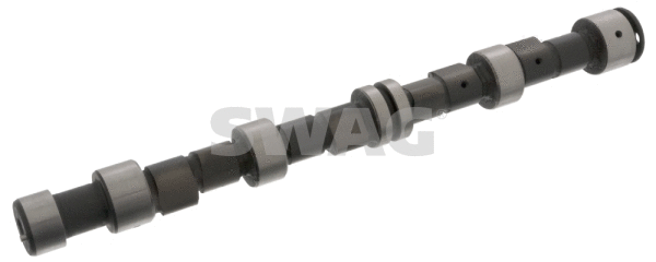 Camshaft (40 31 0019)