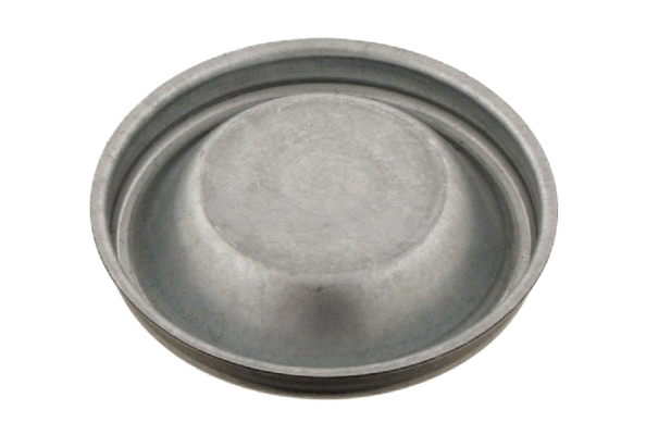 Cap, wheel bearing (64 92 8502)
