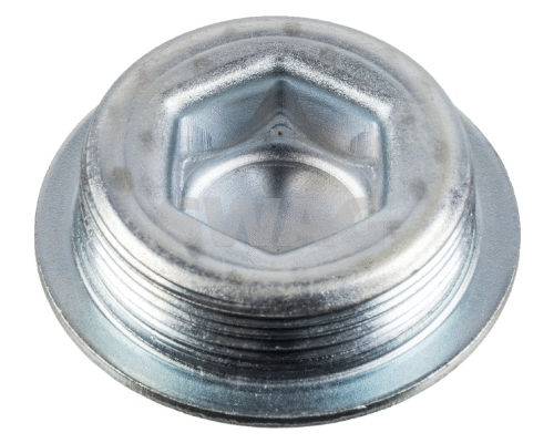Screw Plug, crankcase (10 93 7934)